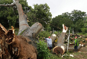 Hurricane Otto death toll in Panama rises to 8 – Civil Defense Director